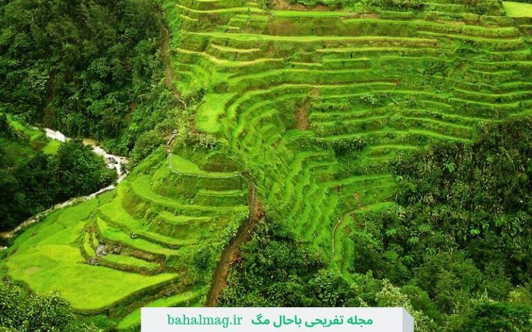 شالیزارهای پلکانی بانائو 2019