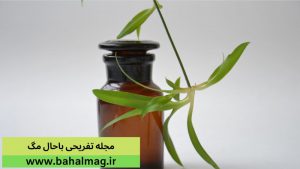 خاصیت دارویی گیاهان