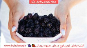 خواص شاه توت یا توت سیاه
