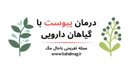 درمان-یبوست-با-گیاهان-دارویی