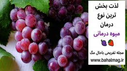 لذت-بخش-ترین-نوع-درمان-میوه-درمانی