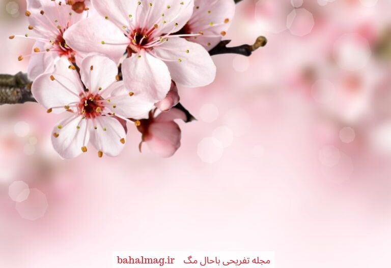 گل های 2019