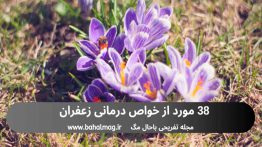 ۳۸-مورد-از-خواص-درمانی-زعفران
