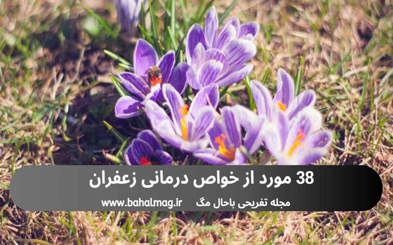 38 مورد از خواص درمانی زعفران