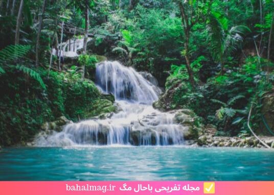 رود روان در جنگل