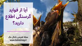 آیا-از-فواید-گرسنگی-اطلاع-دارید؟