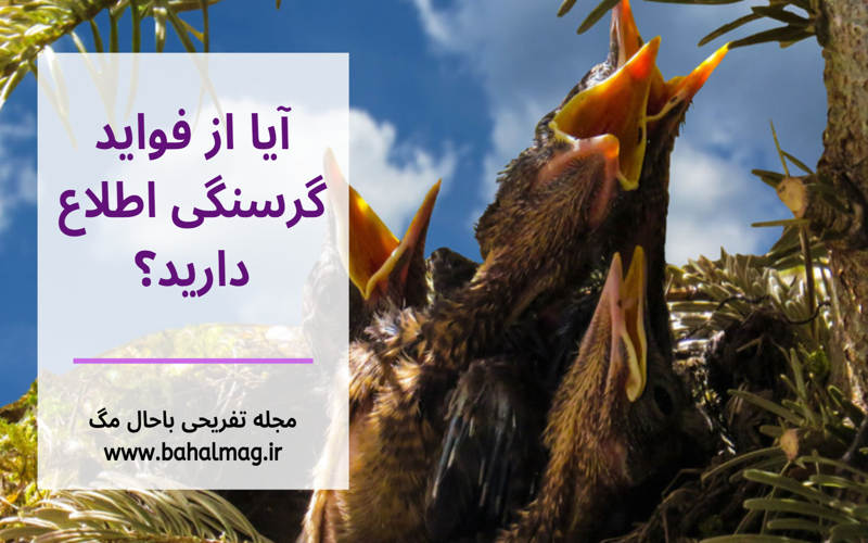 آیا از فواید گرسنگی اطلاع دارید؟