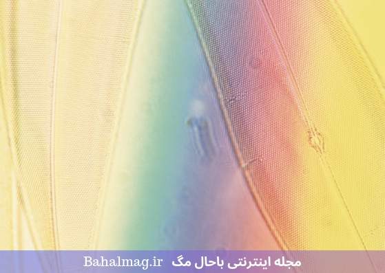 ترکیب رنگ های کم رنگ