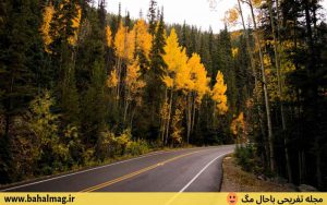 تصاویر جاده در فصل پاییز