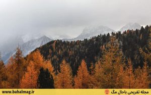 تصاویر فصل پاییز
