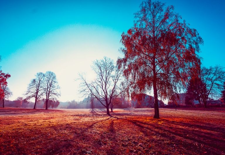 تصویر زیبای پاییزی