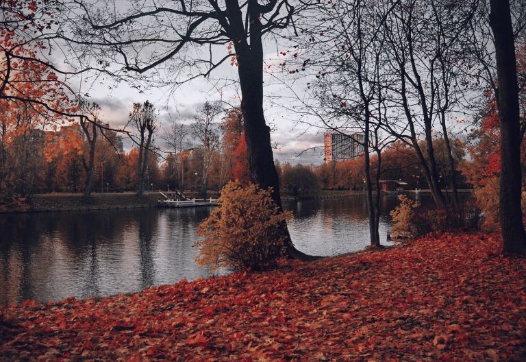 تصویر زیبای پس زمینه پاییز