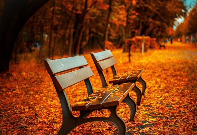 صندلی در پاییز