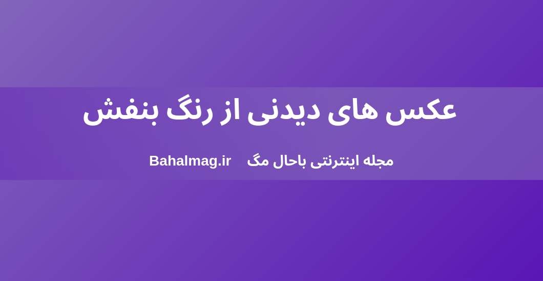 عکس های دیدنی از رنگ بنفش