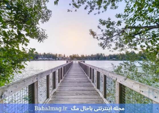 پل چوبی روی رودخانه