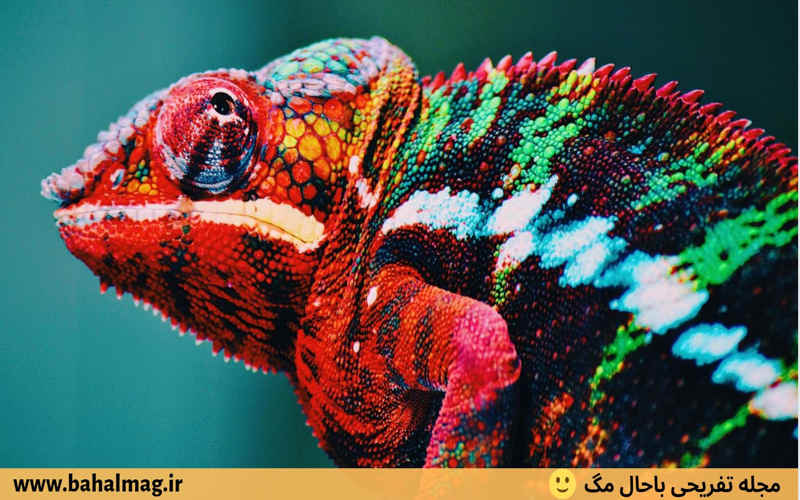 ۹ نشانه ی مردانی که نمی خواهند تغییر کنند