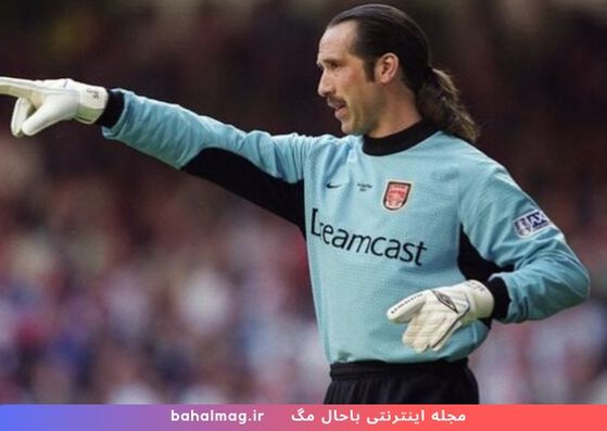 David Seaman