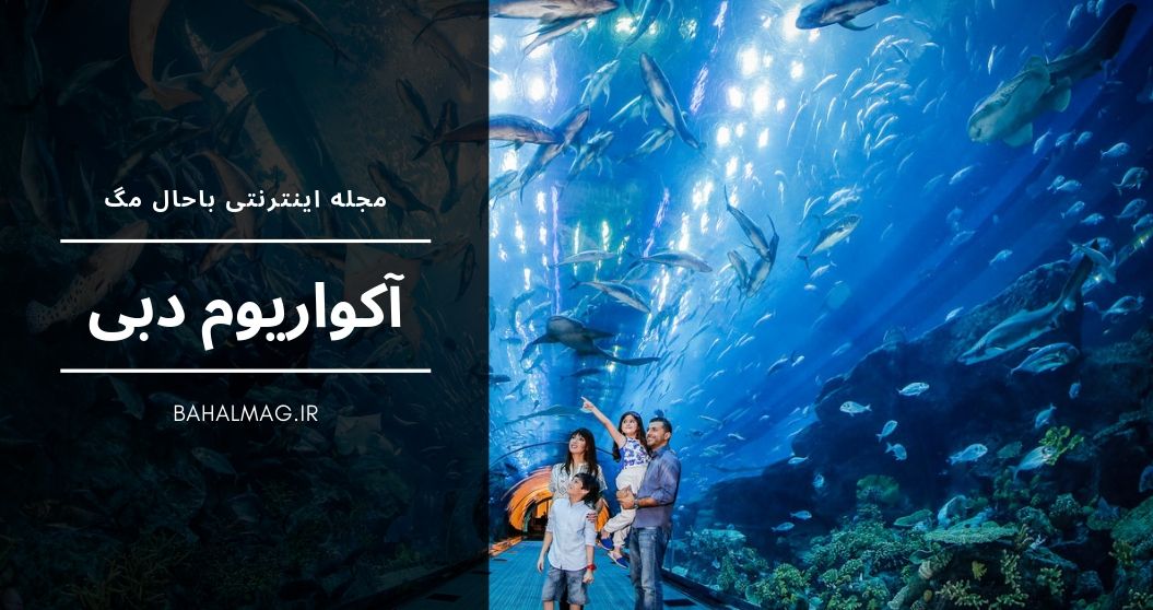 اکواریوم دبی مال