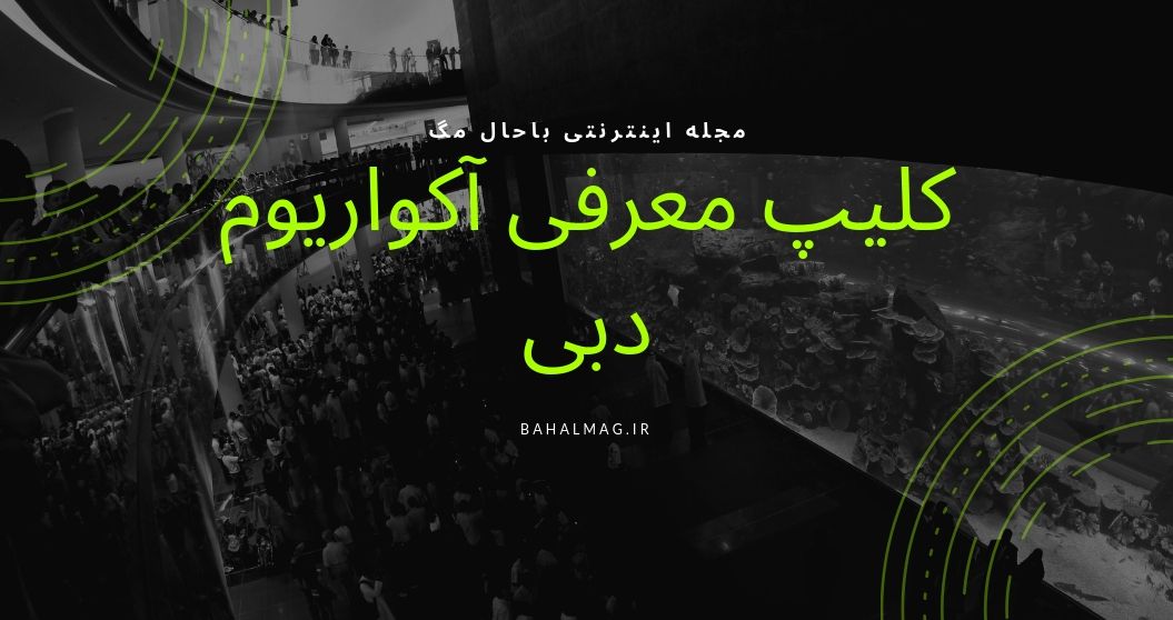 کلیپ آکواریوم دبی