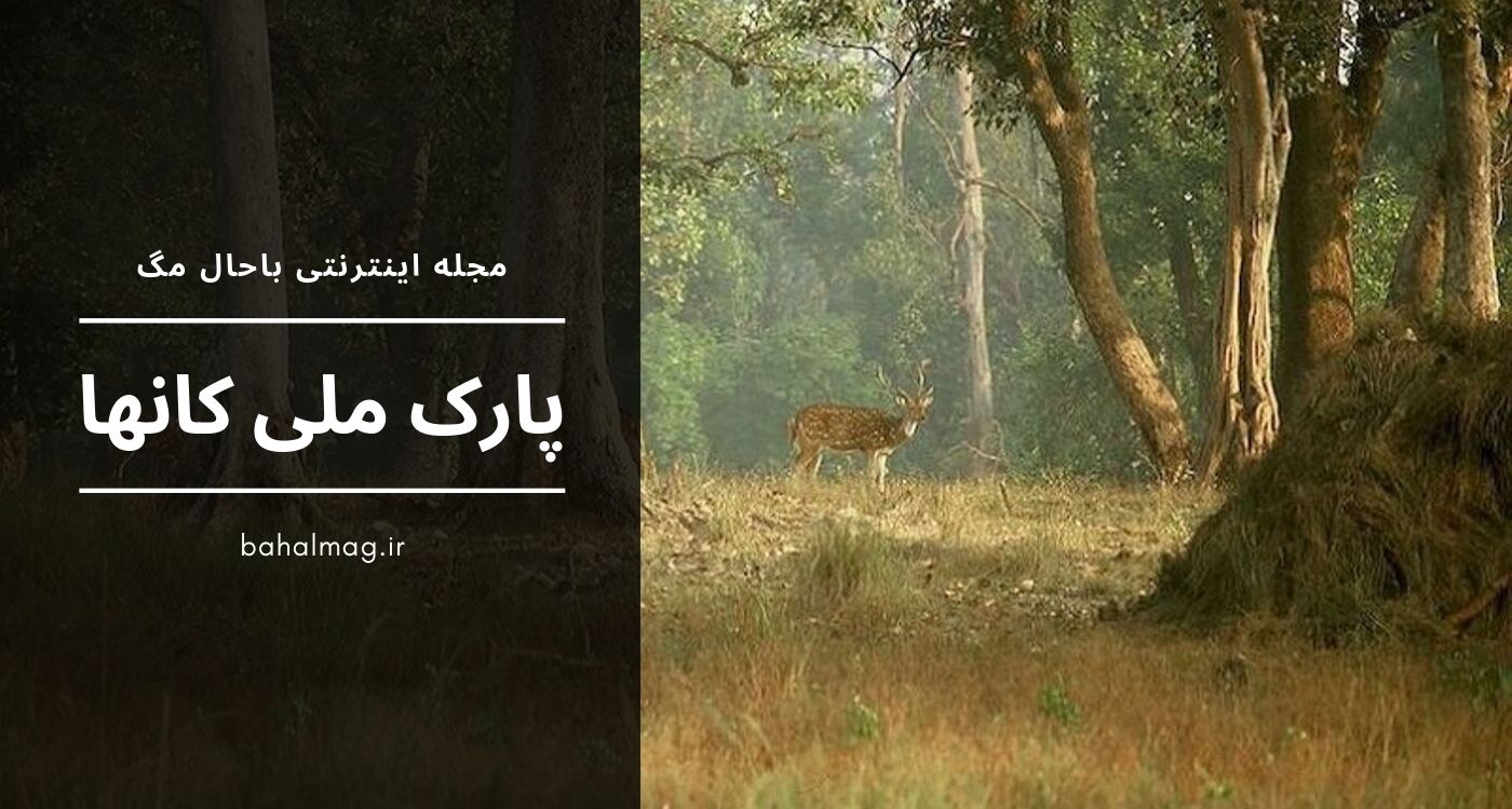 کانها