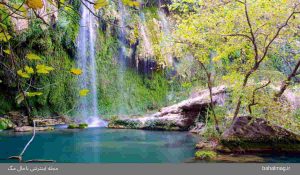جنگل-بلگراد-آبشار