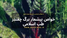 خواص-بیشمار-برگ-چغندر