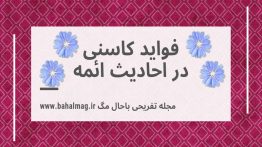 فواید-کاسنی-در-احادیث-ائمه