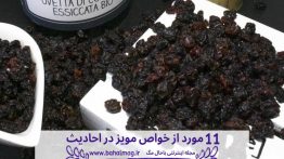 ۱۱-مورد-از-خواص-جالب-مویز-در-احادیث