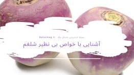 آشنایی با خواص بی نظیر شلغم