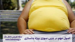 اصول-مهم-در-چربی-سوزی-ویژه-بدنسازی