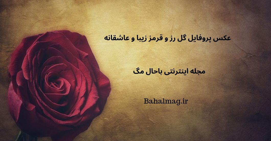 عکس پروفایل گل رز و قرمز زیبا و عاشقانه