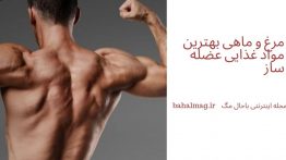 مرغ و ماهی بهترین مواد غذایی عضله ساز