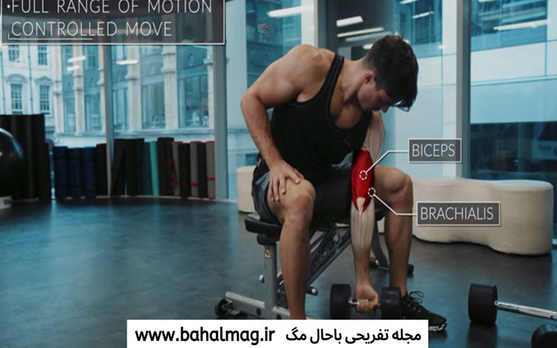کدام عضلات با انجام حرکات بازو درگیر می شود