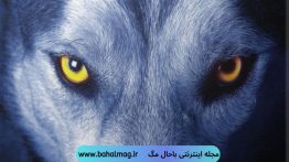 عکس-پروفایل-گرگ