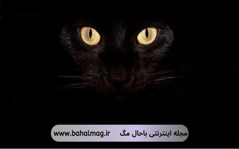 مجموعه والپیپر مشکی لاکچری و جذاب