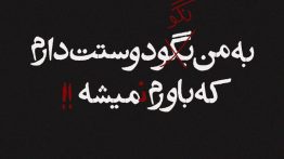 عکس-نوشته-به-من-نگو-دوستت-دارم-که-باورم