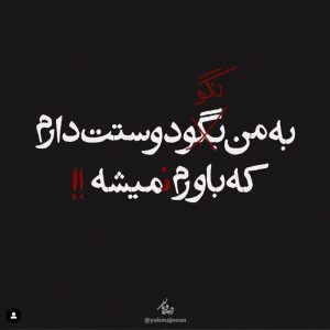 عکس نوشته به من نگو دوستت دارم که باورم