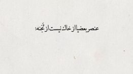 عکس-نوشته-عنصر-بعضیا-از-خاک-نیست-از-لجنه
