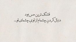 عکس-نوشته-قشنگ-ترین-حس-بود