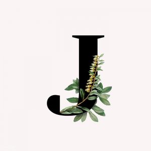 جدیدترین تصاویر حرف j معرکه