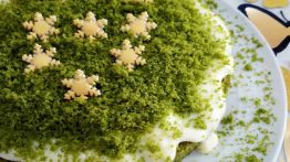 طرز-تهیه-کیک-اسفناج-با-کِرِم-وانیلی