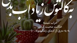 عکس نوشته به کاکتوس زیاد آب بدی