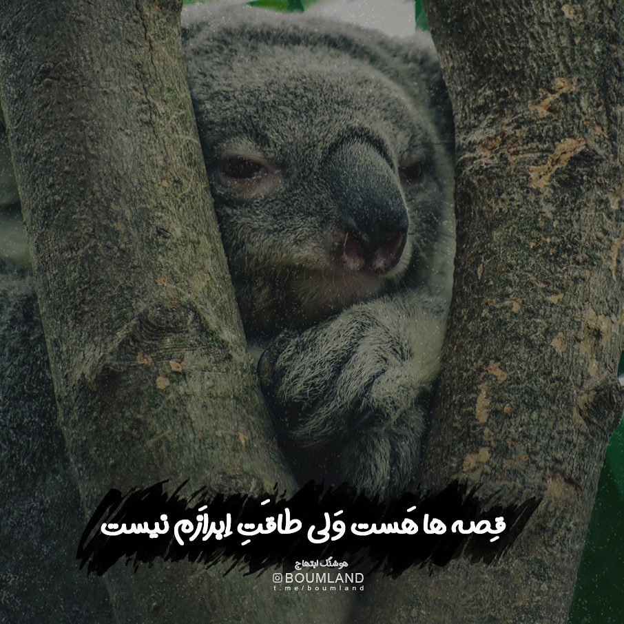 عکس نوشته قصه ها هست ولی طاقت ابراز نیست