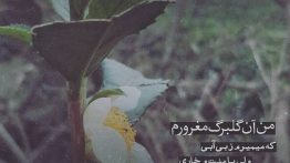 عکس نوشته من آن گلبرگ مغرورم