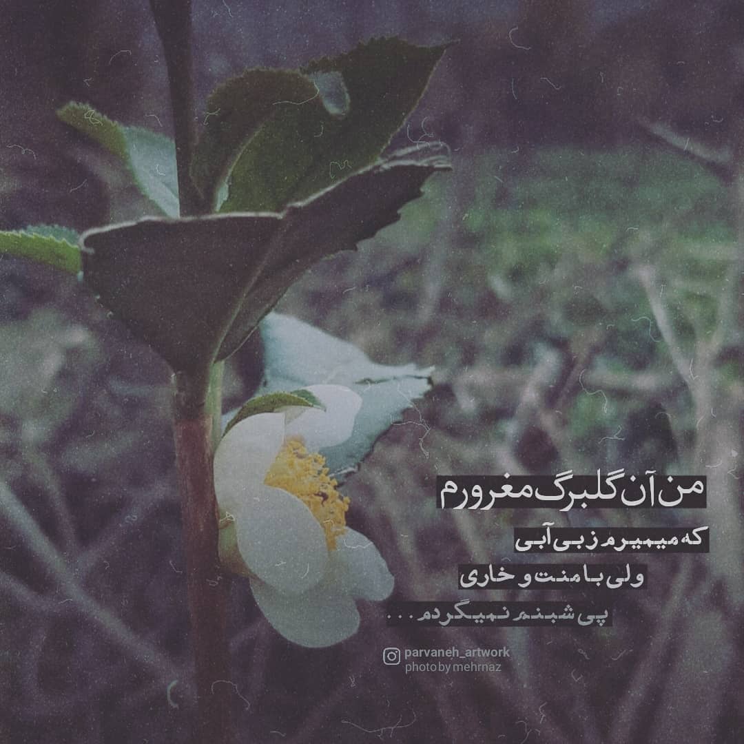 عکس نوشته من آن گلبرگ مغرورم