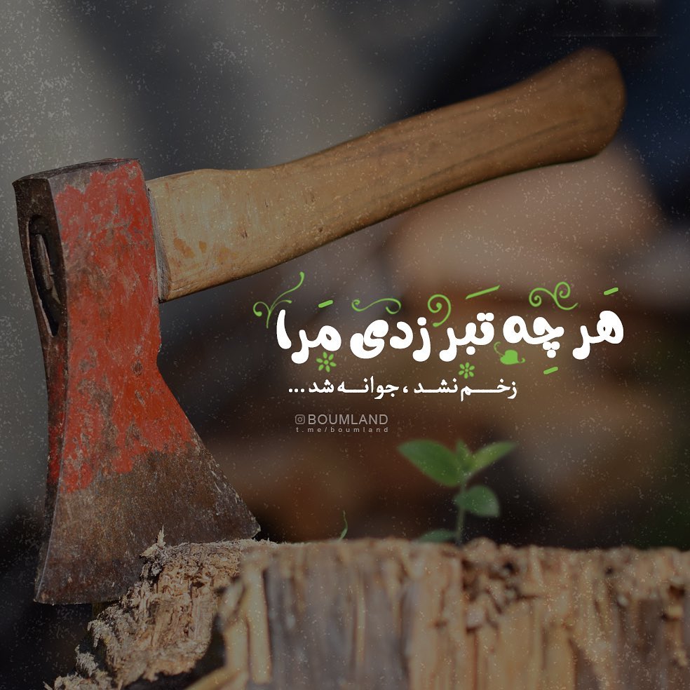 عکس نوشته هرچه تبر زدی مرا