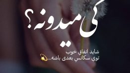 عکس نوشته کی میدونه ؟