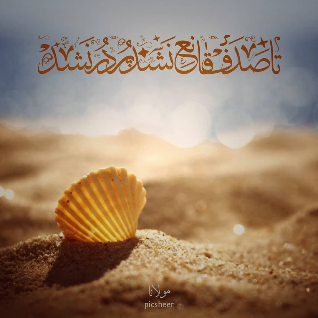 عکس نوشته تا صدف قانع نشد پر در نشد