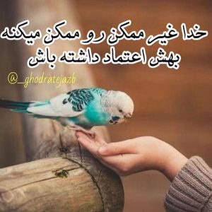 عکس پروفایل حال خوب