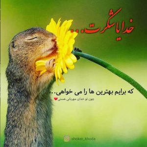 عکس پروفایل خدایا شکرت که برایم بهترین ها را برایم میخواهی